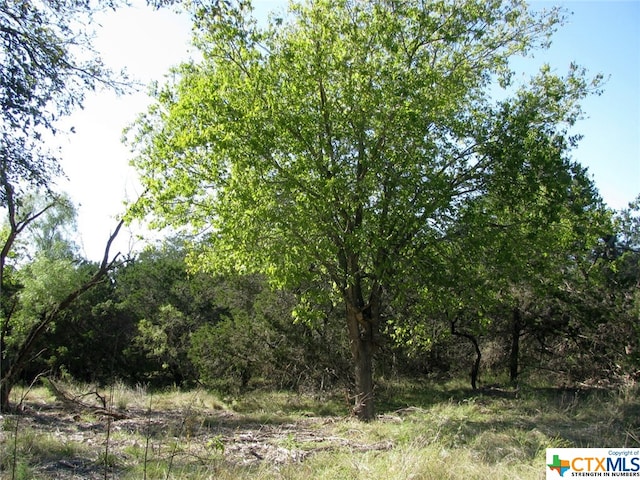 Listing photo 2 for TBD Private Road 42112, Evant TX 76525