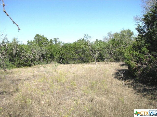 LOT14PHASE3 Private Road 42112, Evant, TX 76525 - photo 13