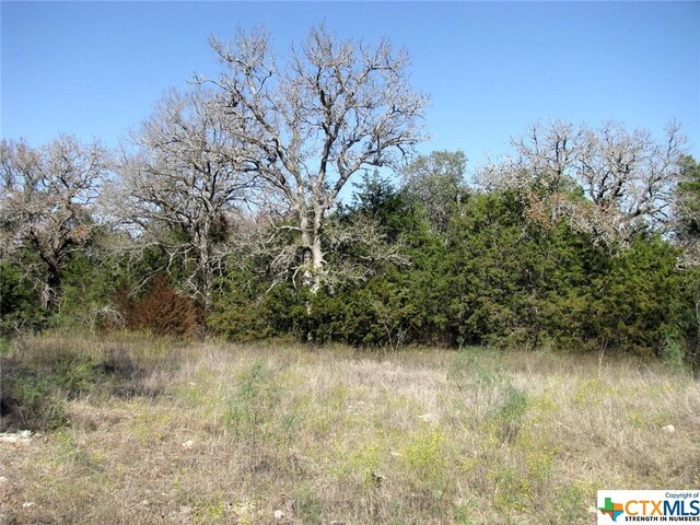 LOT14PHASE3 Private Road 42112, Evant, TX 76525 - photo 26