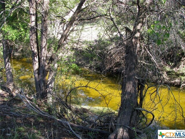 LOT14PHASE3 Private Road 42112, Evant, TX 76525 - photo 9