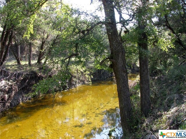 LOT14PHASE3 Private Road 42112, Evant, TX 76525 - photo 1
