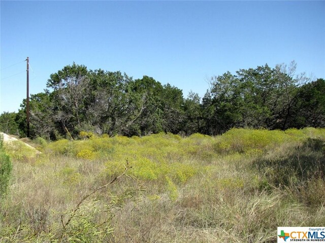 LOT14PHASE3 Private Road 42112, Evant, TX 76525 - photo 10