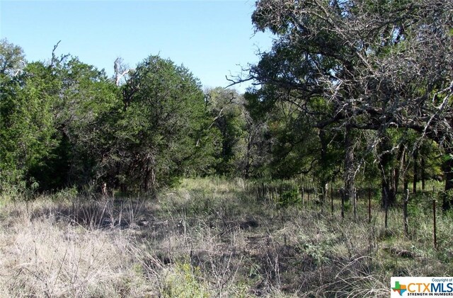 LOT14PHASE3 Private Road 42112, Evant, TX 76525 - photo 20