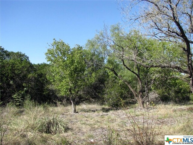 LOT14PHASE3 Private Road 42112, Evant, TX 76525 - photo 28