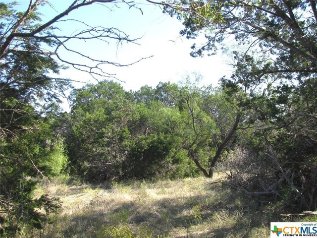 LOT14PHASE3 Private Road 42112, Evant, TX 76525 - photo 37