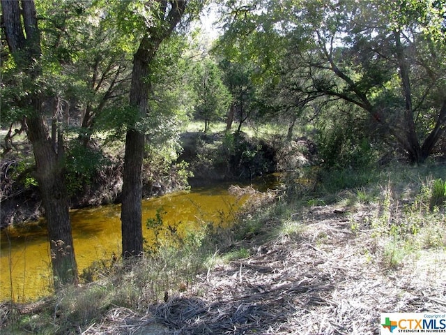 LOT14PHASE3 Private Road 42112, Evant, TX 76525 - photo 30