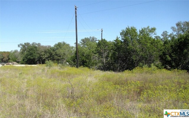 LOT14PHASE3 Private Road 42112, Evant, TX 76525 - photo 8