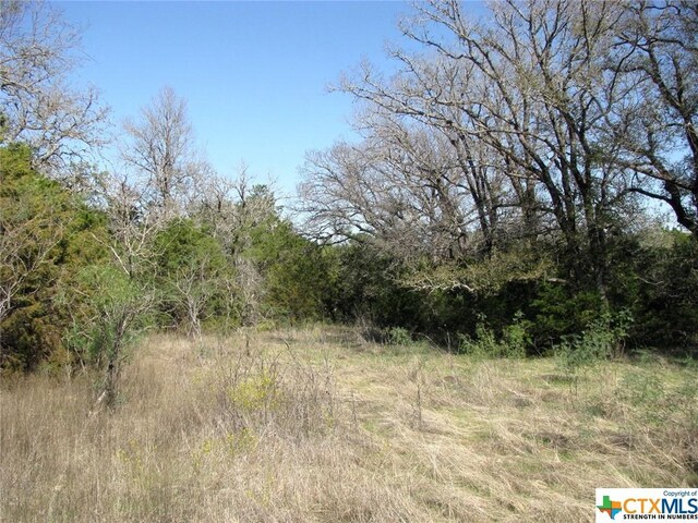 LOT14PHASE3 Private Road 42112, Evant, TX 76525 - photo 18