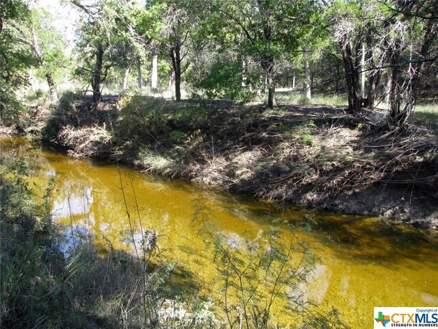 LOT14PHASE3 Private Road 42112, Evant, TX 76525 - photo 17