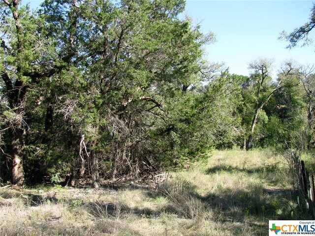 LOT14PHASE3 Private Road 42112, Evant, TX 76525 - photo 21