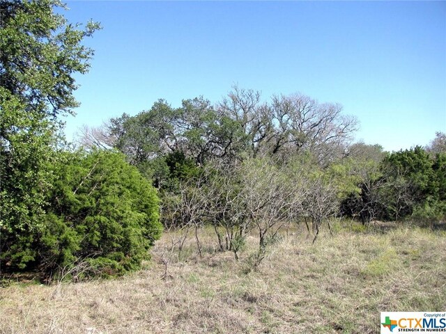 LOT14PHASE3 Private Road 42112, Evant, TX 76525 - photo 12