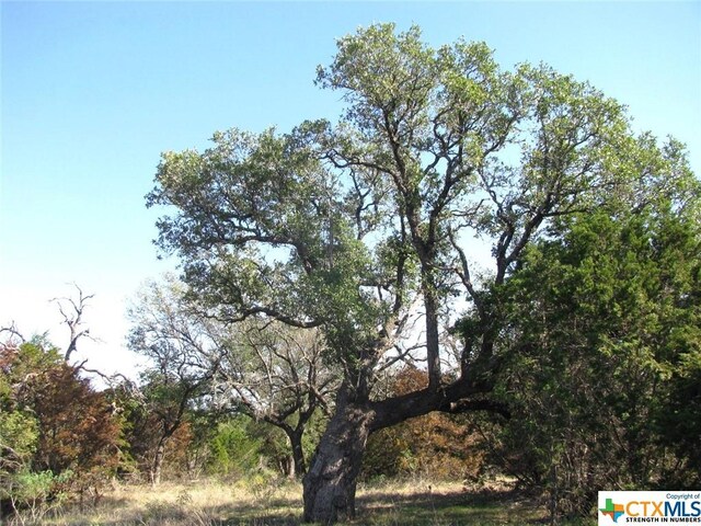 LOT14PHASE3 Private Road 42112, Evant, TX 76525 - photo 4