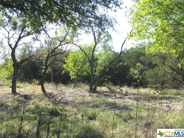 LOT14PHASE3 Private Road 42112, Evant, TX 76525 - photo 29