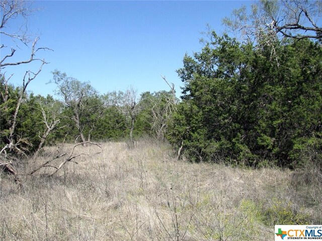 LOT14PHASE3 Private Road 42112, Evant, TX 76525 - photo 19