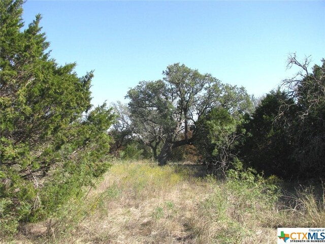 LOT14PHASE3 Private Road 42112, Evant, TX 76525 - photo 36