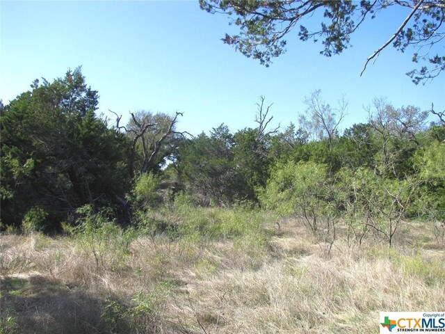 LOT14PHASE3 Private Road 42112, Evant, TX 76525 - photo 33