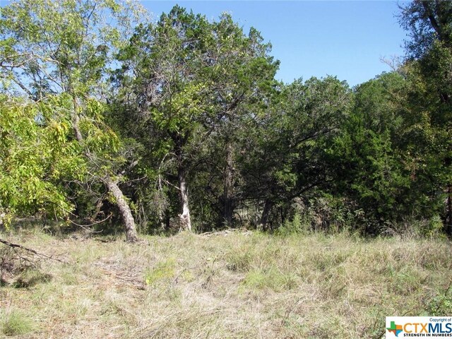LOT14PHASE3 Private Road 42112, Evant, TX 76525 - photo 23