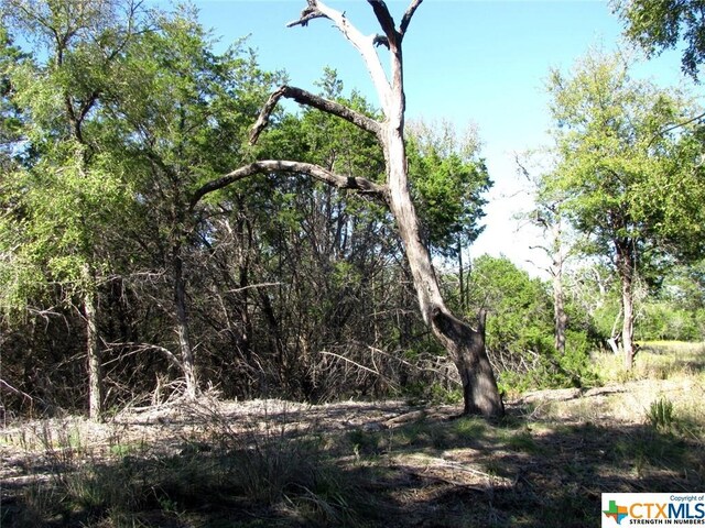 LOT14PHASE3 Private Road 42112, Evant, TX 76525 - photo 31