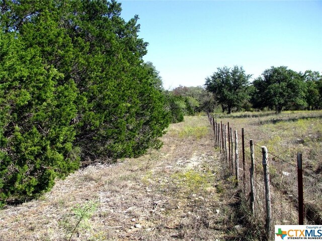 LOT14PHASE3 Private Road 42112, Evant, TX 76525 - photo 5