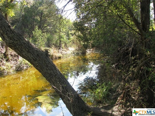 LOT14PHASE3 Private Road 42112, Evant, TX 76525 - photo 14