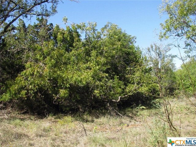 LOT14PHASE3 Private Road 42112, Evant, TX 76525 - photo 7