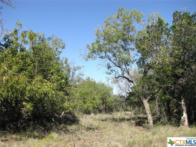 LOT14PHASE3 Private Road 42112, Evant, TX 76525 - photo 6