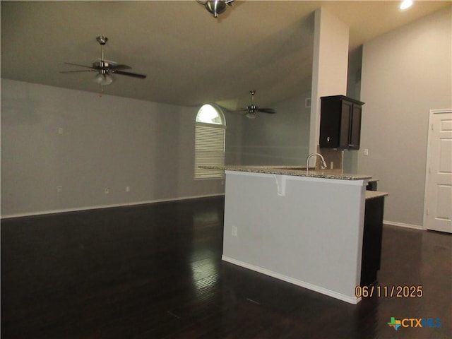 1418 Fawn Lily Dr, Temple, TX 76502 - kitchen featuring ceiling fan, open floor plan, dark wood-type flooring, light stone countertops, and lofted ceiling
