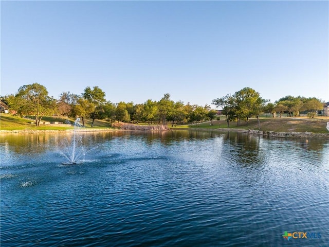 view of water feature