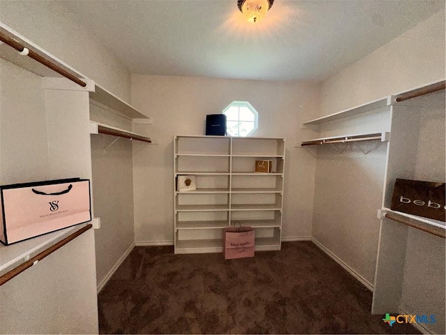1004 Shady Hollow Ct, Nolanville, TX 76559 - walk in closet featuring carpet