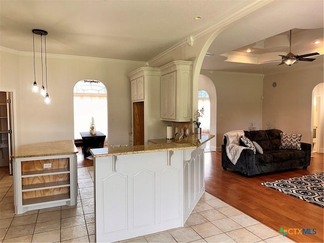 1004 Shady Hollow Ct, Nolanville, TX 76559 - kitchen with arched walkways, crown molding, a peninsula, plenty of natural light, and open floor plan