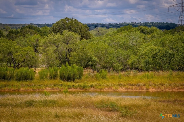 451 Rawhide Rd, Seguin, TX 78155