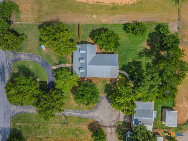 bird's eye view