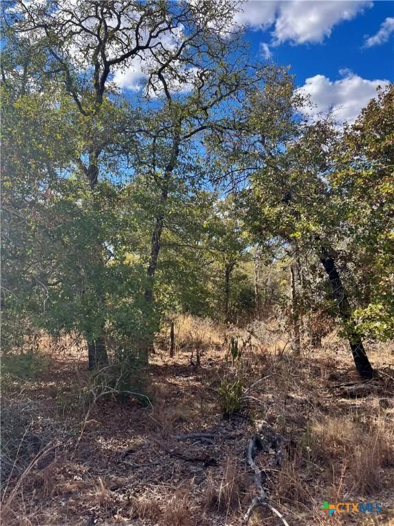 515 Resort Ln, Seguin, TX 78155