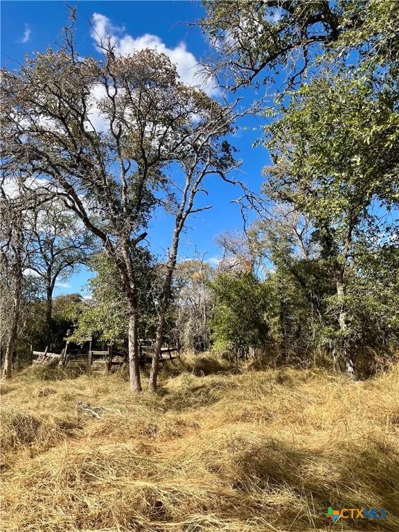 515 Resort Ln, Seguin, TX 78155