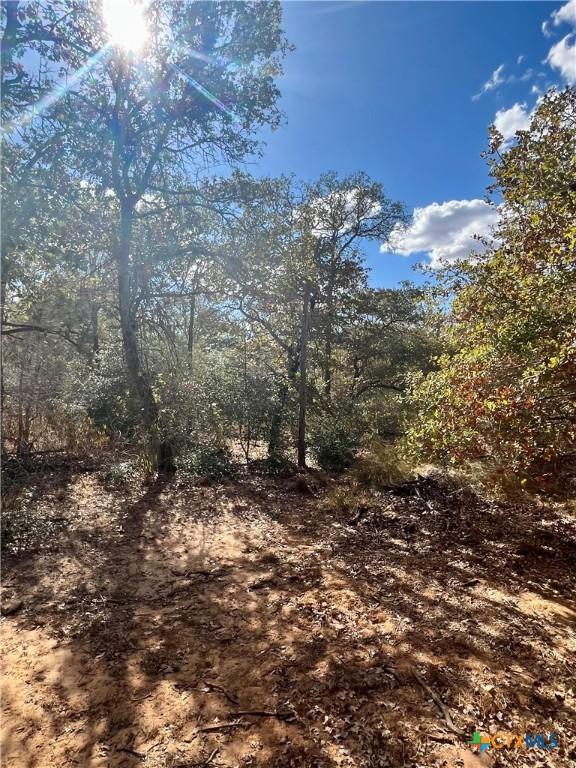 515 Resort Ln, Seguin, TX 78155