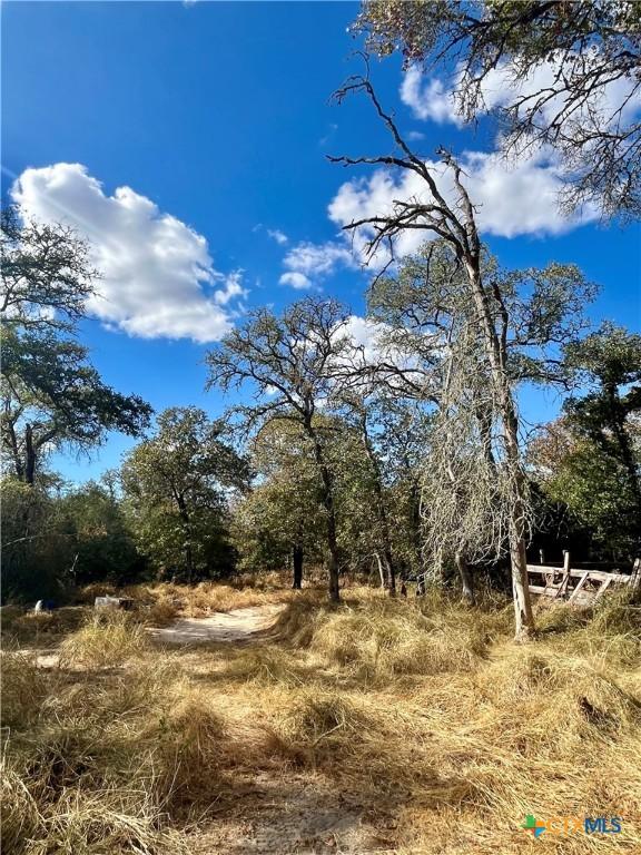 515 Resort Ln, Seguin, TX 78155