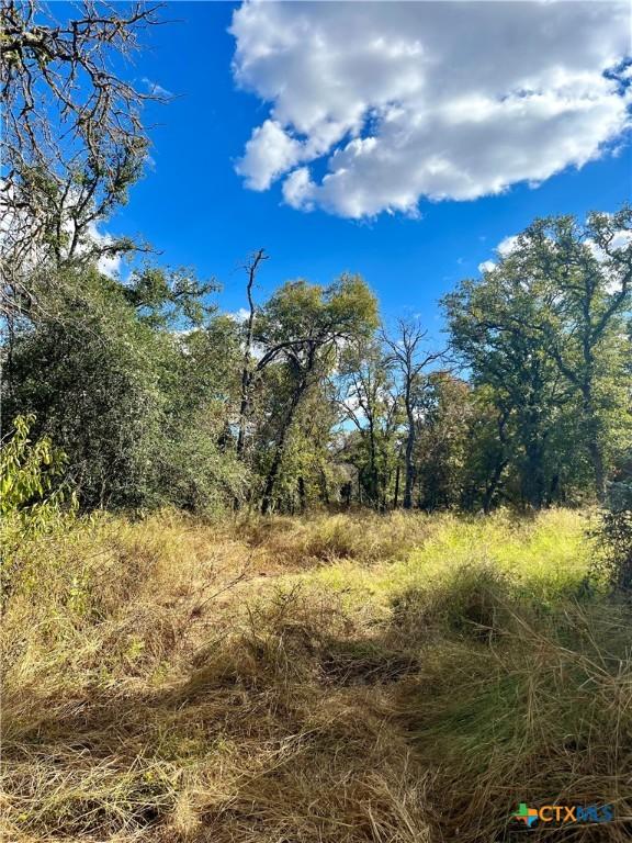 515 Resort Ln, Seguin, TX 78155