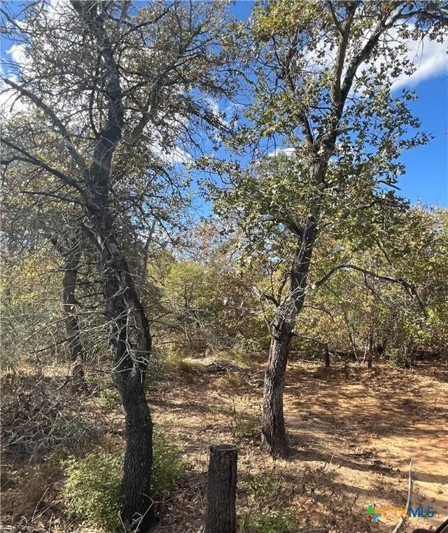 515 Resort Ln, Seguin, TX 78155