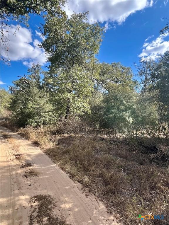 515 Resort Ln, Seguin, TX 78155