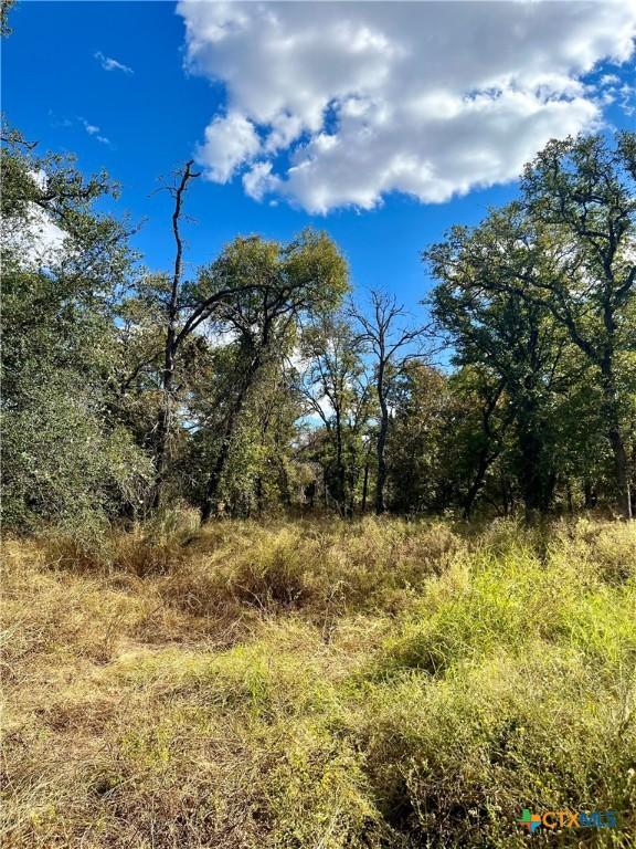 515 Resort Ln, Seguin, TX 78155