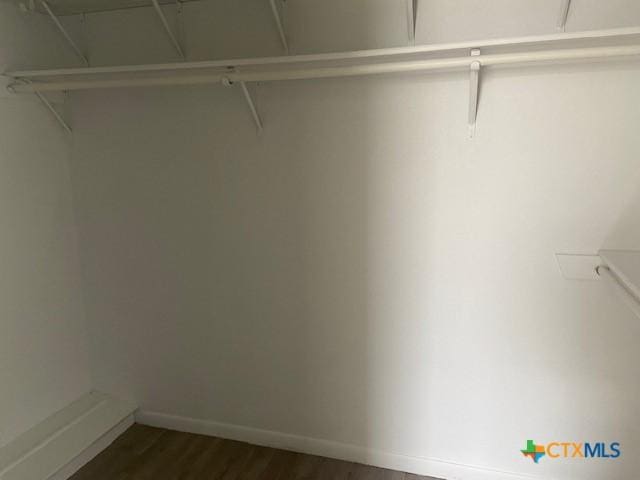 spacious closet featuring dark hardwood / wood-style flooring