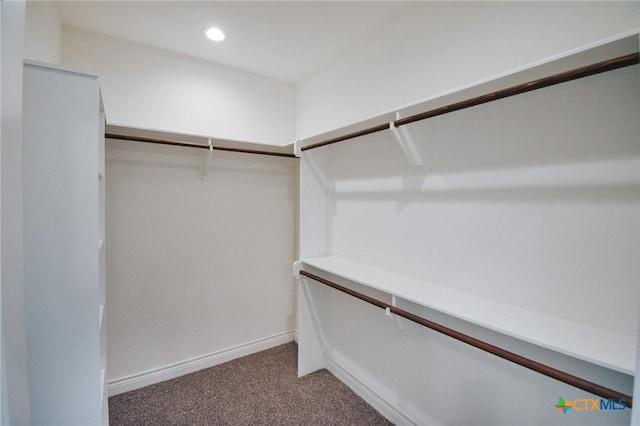 3611 Hanselman Rd, Victoria, TX 77901 - walk in closet featuring carpet flooring