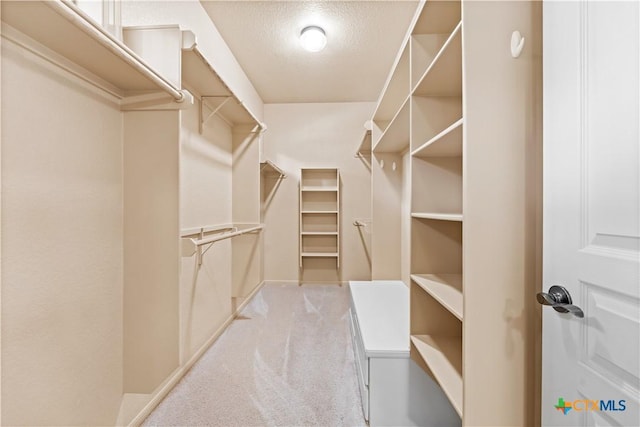 walk in closet with carpet floors