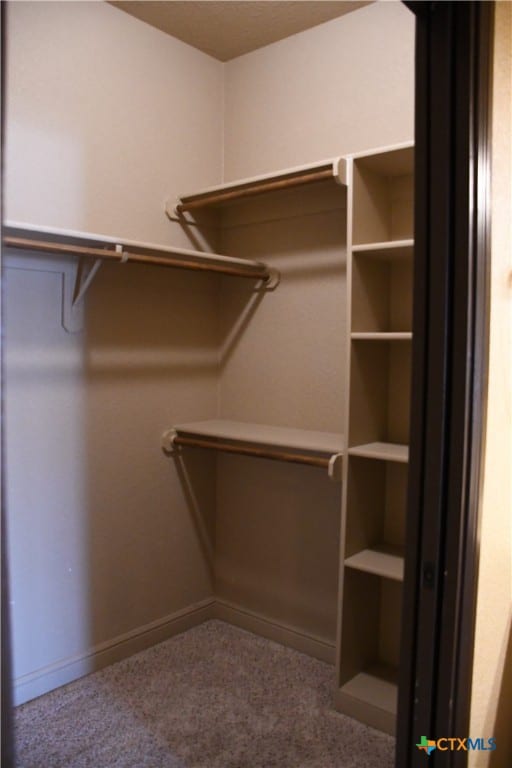 spacious closet with carpet