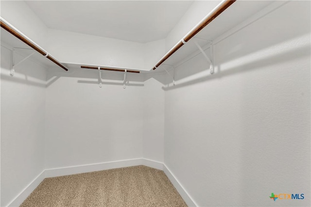 spacious closet with carpet