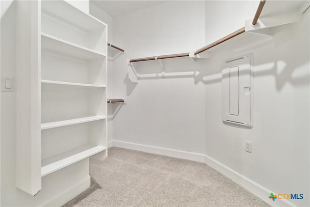 walk in closet featuring light colored carpet and electric panel