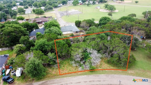 8 Verbena St, Belton, TX 76513 - photo 4