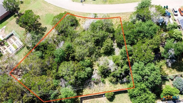 8 Verbena St, Belton, TX 76513 - photo 2