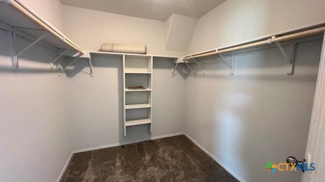 249 Bethann Dr, Temple, TX 76502 - walk in closet featuring carpet