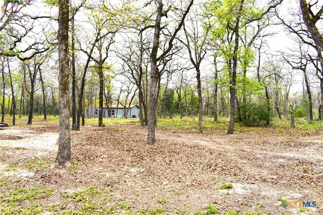 4440 County Road 448, Thorndale, TX 76577 - photo 24